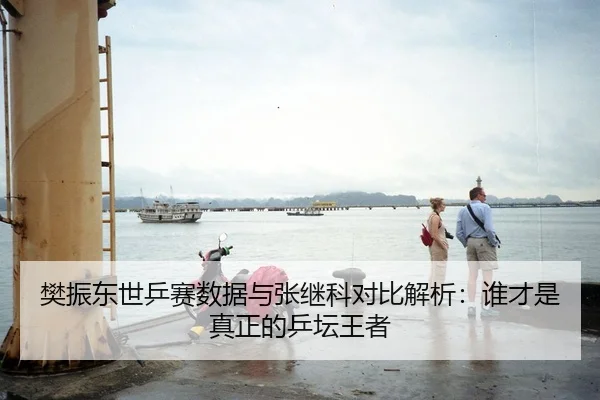 樊振东世乒赛数据与张继科对比解析：谁才是真正的乒坛王者